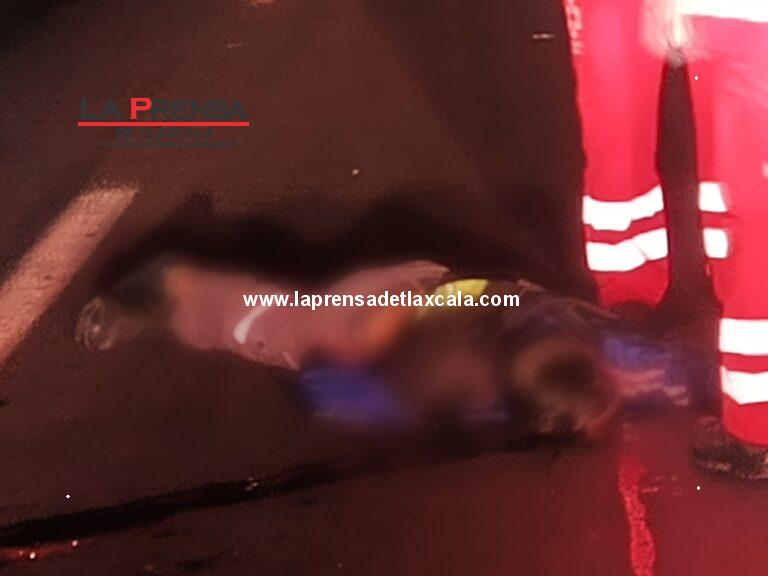 Atropellado fallece masculino en la zona de El Trébol.