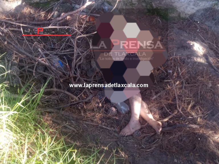 Hallan siete cuerpos en límites de Tlaxcala y Puebla; punto exacto corresponde a Nopalucan de la granja, Puebla