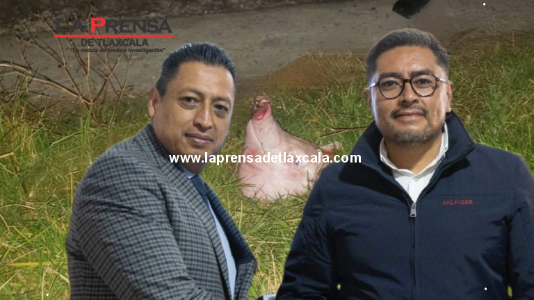 ¡Mensaje de sangre y terror en Zacatelco! Abandonan cabeza de puerco con amenaza criminal