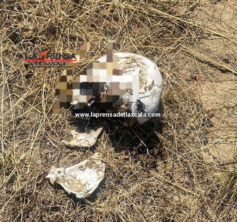 Localizan cráneo humano en zona remota de Atltzayanca.