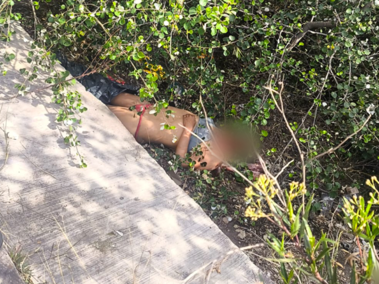 ¡Macabro hallazgo en San Pablo del Monte! Perros devoraban el cuerpo de un hombre vestido de mujer