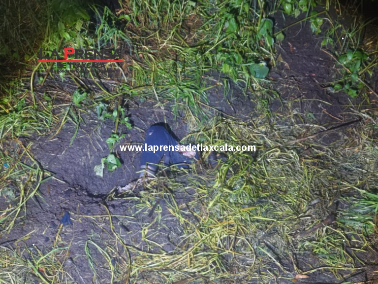 Perros descubren cuerpo enterrado en terrenos de labor de Ixtacuixtla